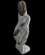 Fossil Goniatite & Orthoceras Decorative Piece - Tall #71644-1